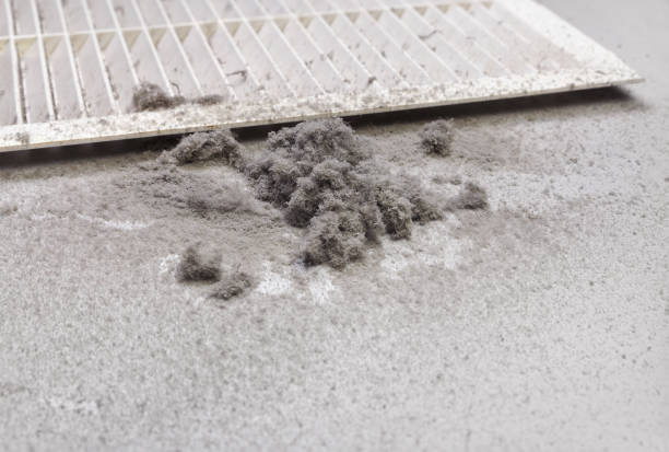 Best Emergency Air Duct Cleaning  in Bloomfield, NM