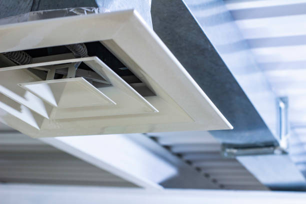 Best Air Duct Mold Removal  in Bloomfield, NM