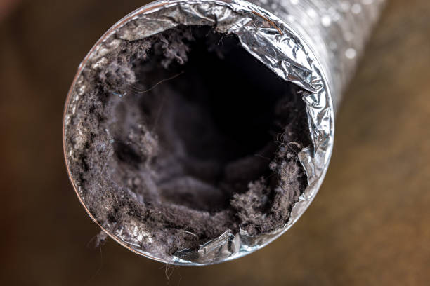 Best Affordable Air Duct Cleaning  in Bloomfield, NM
